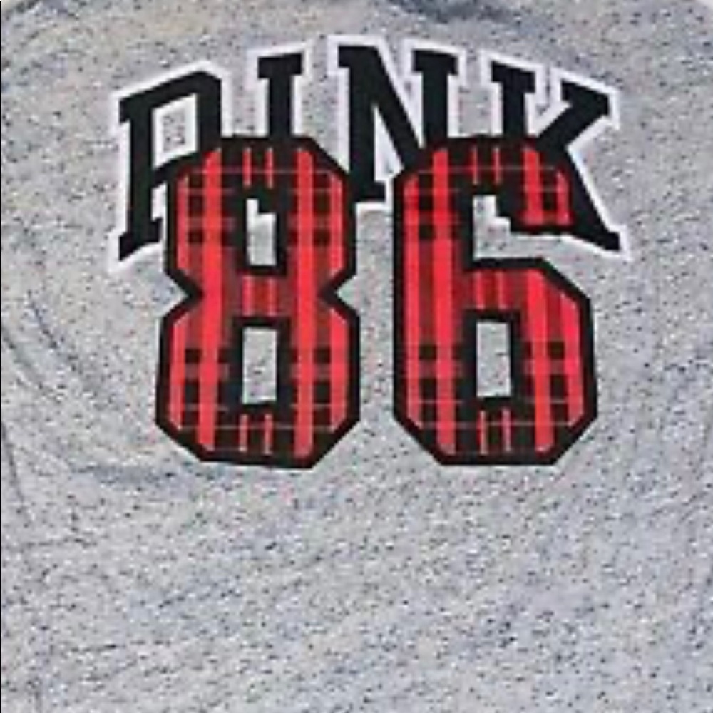 PINK LOGO SMALL CAMPUS LONG SLEEVE TEE